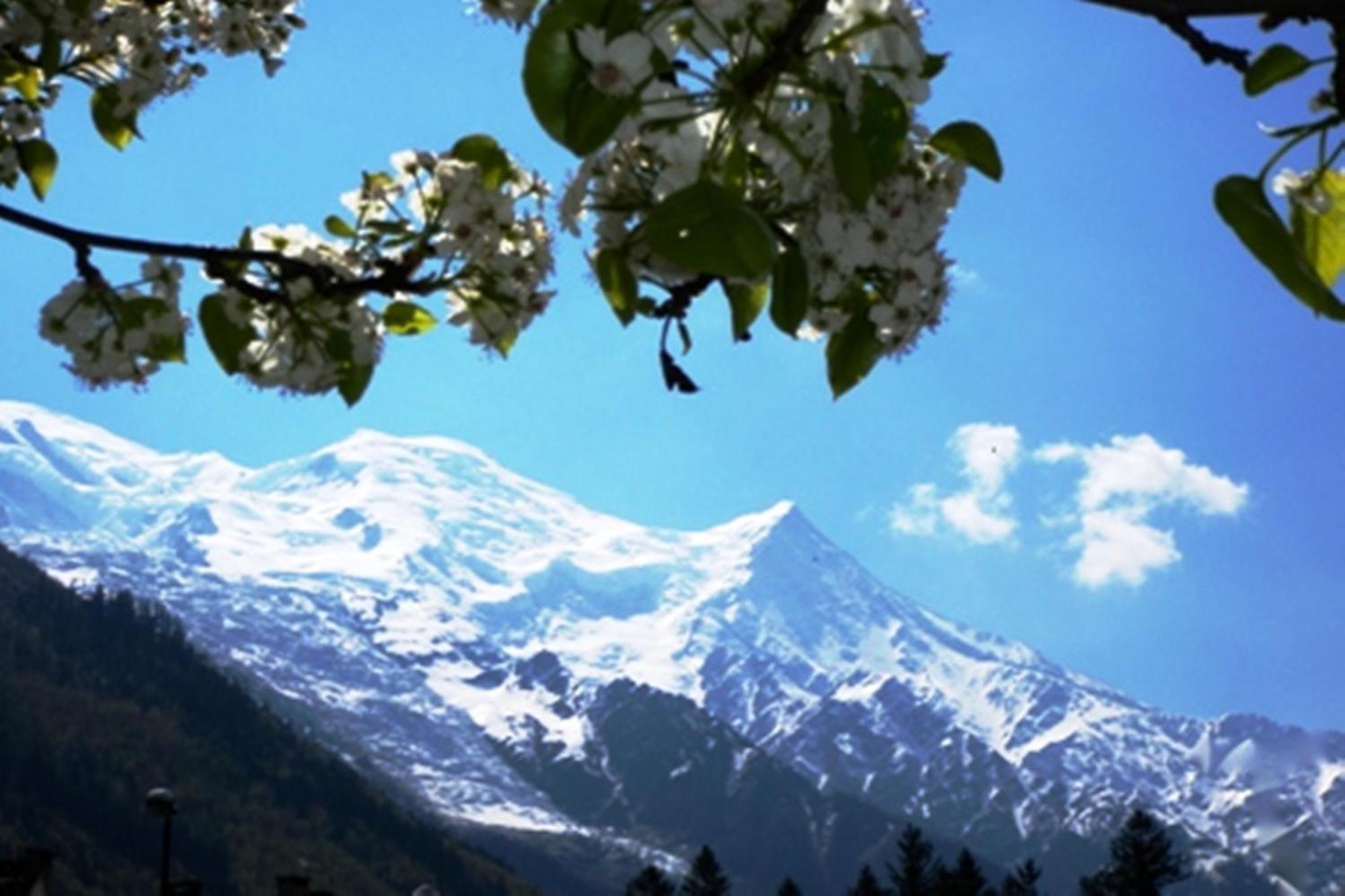 Residence Grands Montets 133 Ski In-Ski Out - Happy Rentals Σαμονί Εξωτερικό φωτογραφία